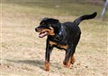 2-IMG_7540.jpg